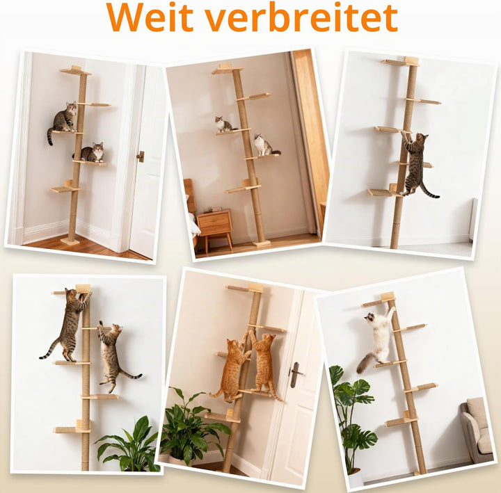 Kratzbaum Gross 205cm Kletterwand Katzen, höhenverstellbar, 5 Etagen Katzenturm mit Sisalauflage aus