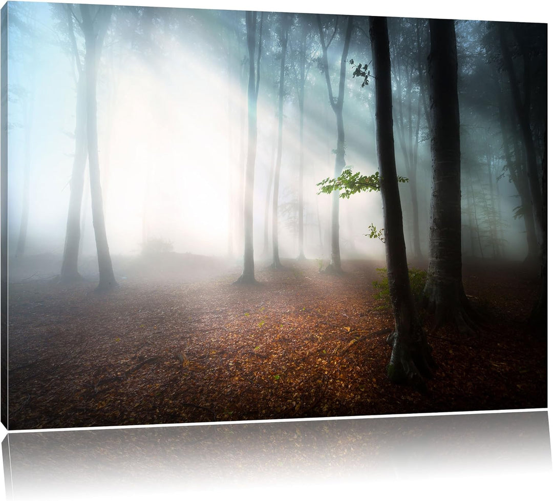 Düsterer Wald im Nebel, Format: 100x70 auf Leinwand, XXL riesige Bilder fertig gerahmt mit Keilrahme