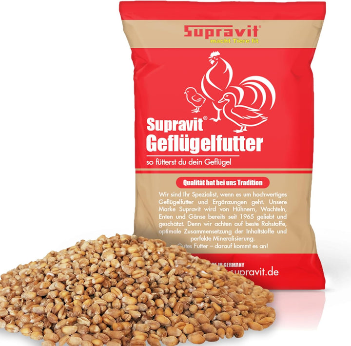 SUPRAVIT Weizen Futterweizen - 25kg aus regionaler Landwirtschaft - Ideales Einzelfuttermittel für T