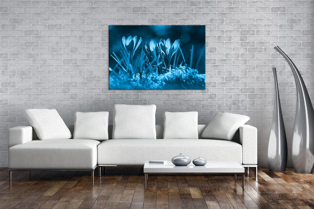 deyoli beeindruckende Krokusse im Frühling Format 80x60 Effekt: Monocrome Blau als Leinwandbild, Mot
