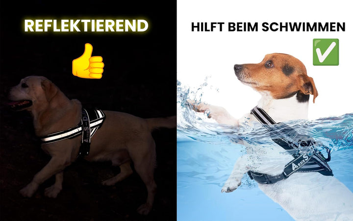 ACARAPETS Hundegeschirr und Leine, 3 Ringe, gepolstert und atmungsaktiv, mit elastischer Bifida-Lein