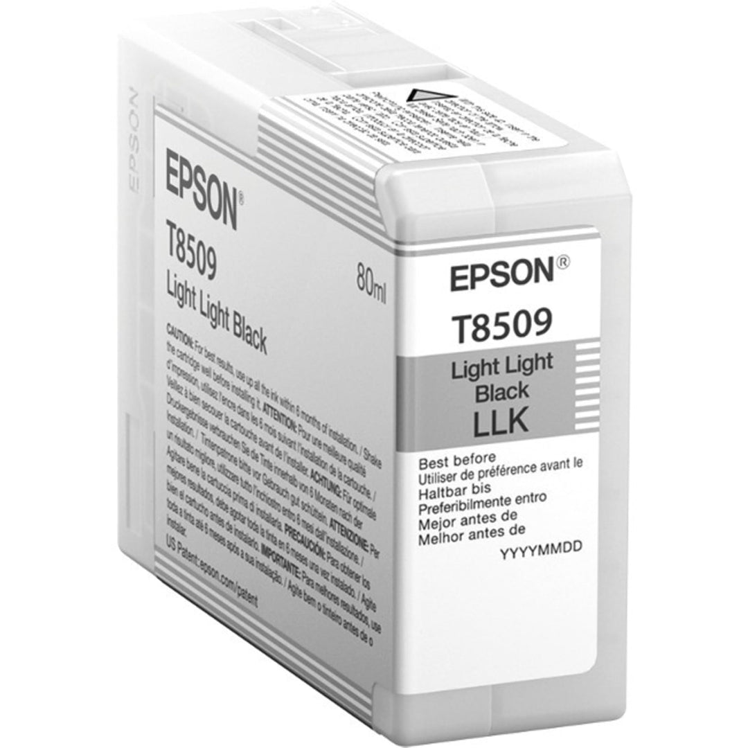 Epson C13T850900 Singlepack Light, schwarz light light schwarz Standardverpackung, light light schwa