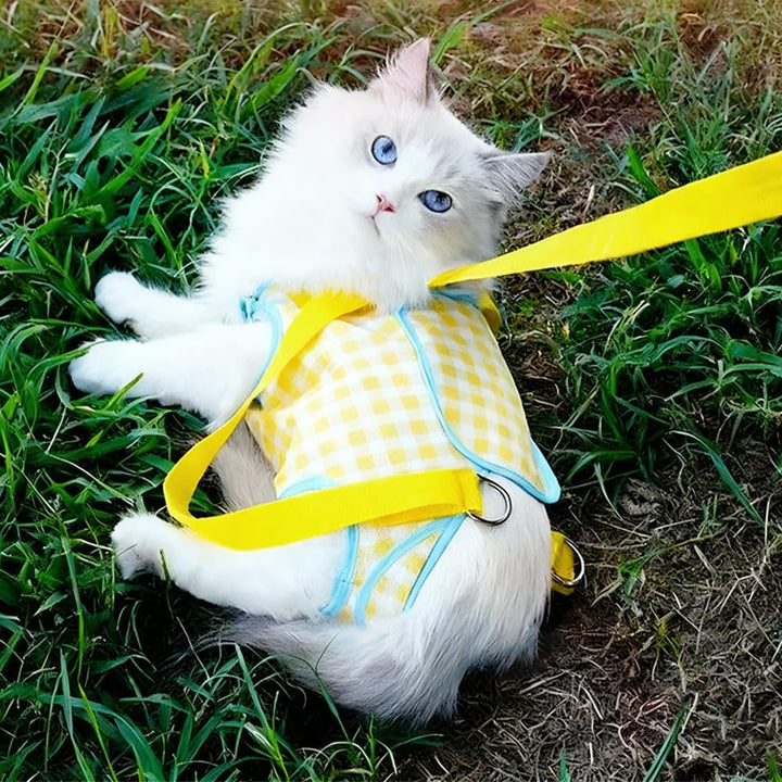 Hundetragetasche, Tragbare Haustier Reisetasche, Atmungsaktives Tragetasche für Welpen und Katzen mi
