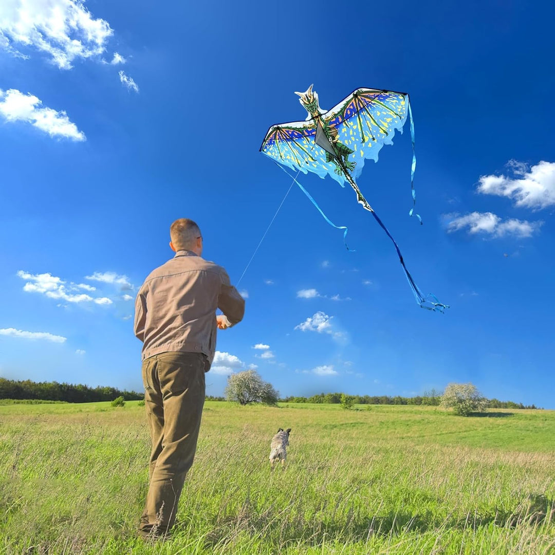 Mint's Colorful Life Drachen Drache für Kinder Erwachsene, einleiner flugdrachen Bester Gross Beach