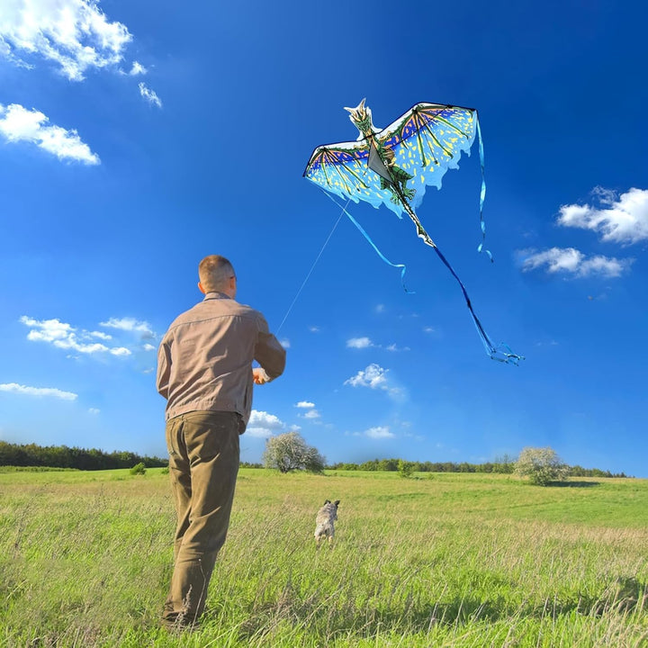 Mint's Colorful Life Drachen Drache für Kinder Erwachsene, einleiner flugdrachen Bester Gross Beach