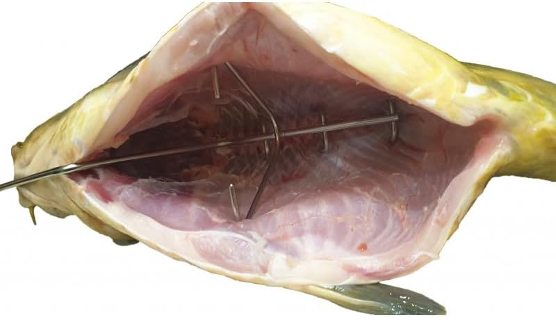 AlcoFermBrew Räucherhaken für Fleisch und Fisch (5 x Haken zum Räuchern von Karpfen mit Kopf), 5 x H
