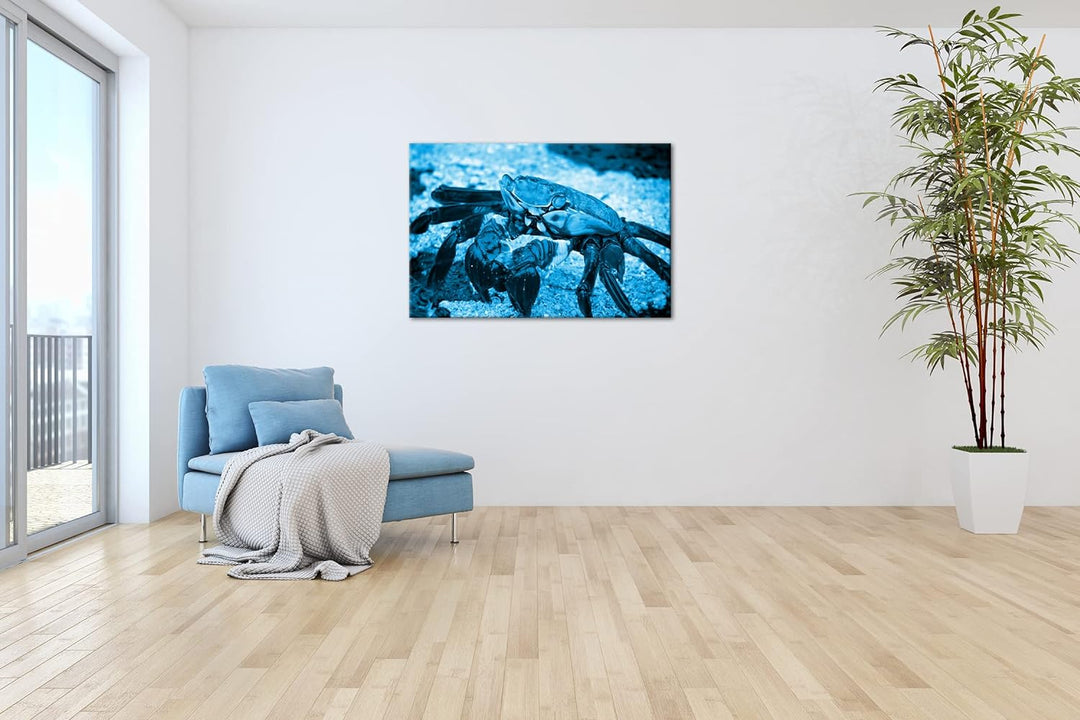 deyoli bunte Krabbe am Strand Format 60x40 Effekt: Monocrome Blau als Leinwandbild, Motiv fertig ger