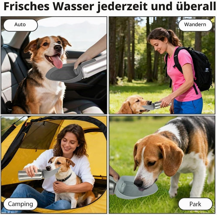 Tragbare Hunde Trinkflasche, 700 ML Isolierte Edelstahl Trinkflasche Für Hunde, Auslaufsichere Haust