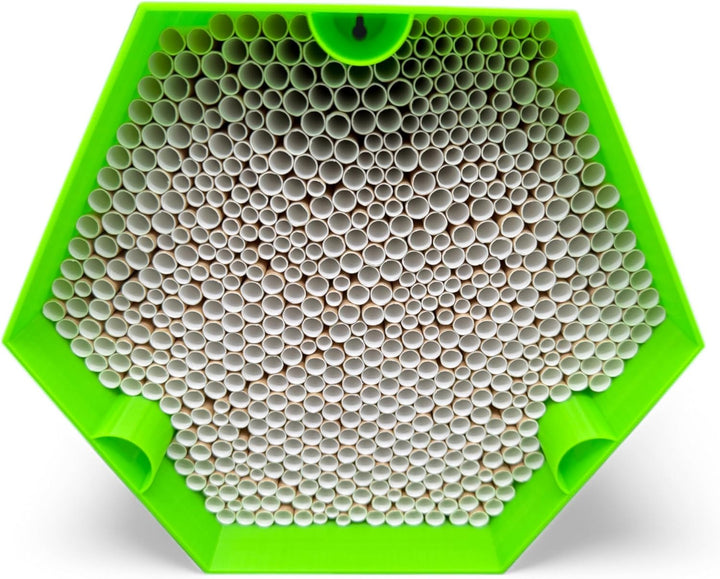 Wildbienen-Nisthilfe – absolut haltbar &amp; wetterfest. Insektenhotel mit 600 Nisthülsen. Hochwertiges