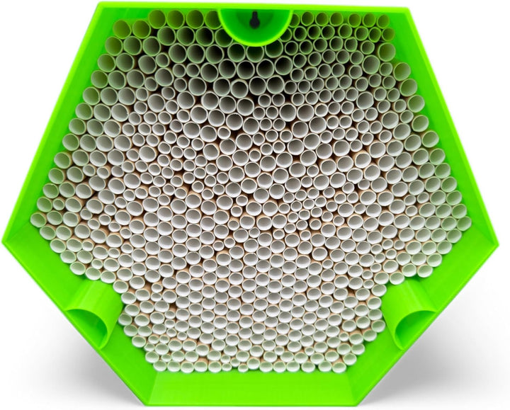 Wildbienen-Nisthilfe – absolut haltbar &amp; wetterfest. Insektenhotel mit 600 Nisthülsen. Hochwertiges