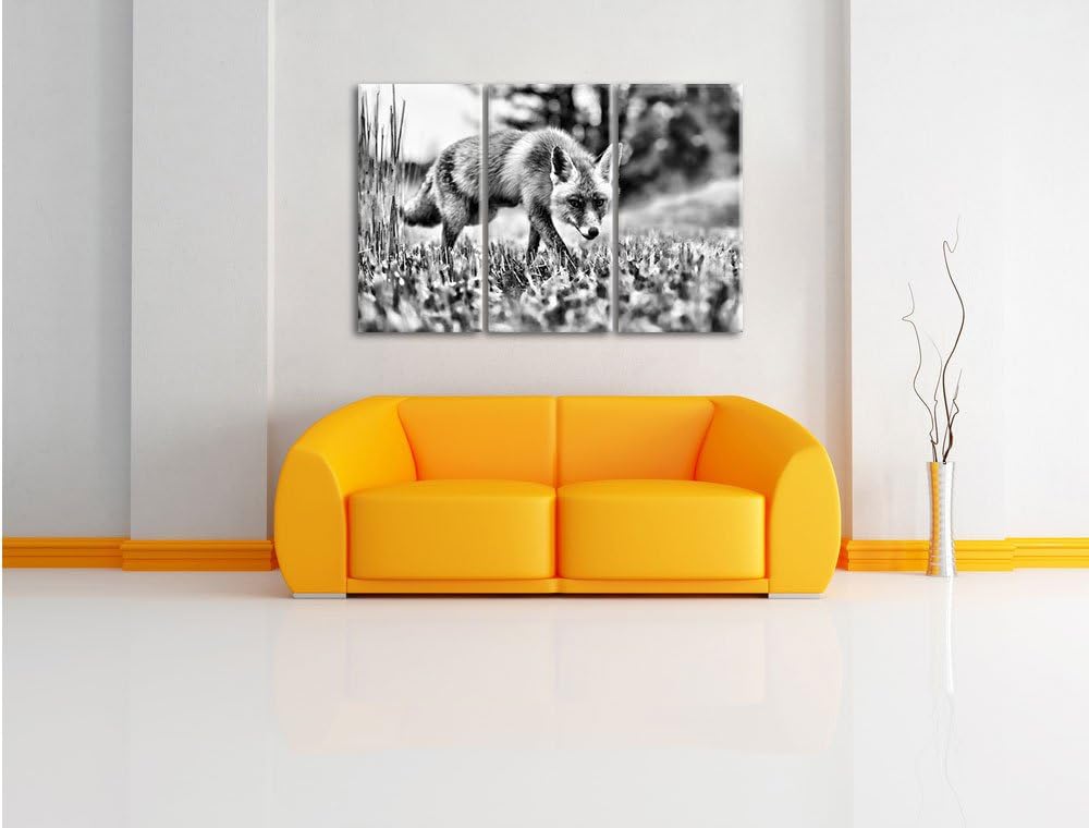 Pixxprint Schöner Fuchs als Leinwandbild/Grösse: 3 Teilig (120x80) / Wandbild/Kunstdruck/fertig besp