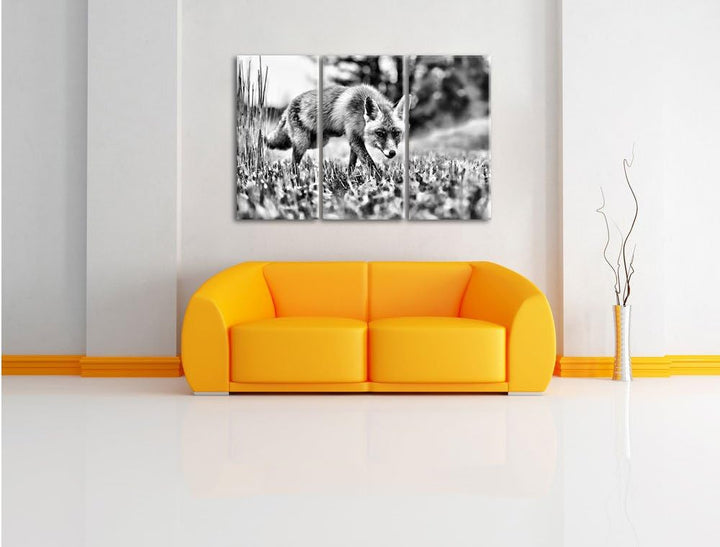 Pixxprint Schöner Fuchs als Leinwandbild/Grösse: 3 Teilig (120x80) / Wandbild/Kunstdruck/fertig besp