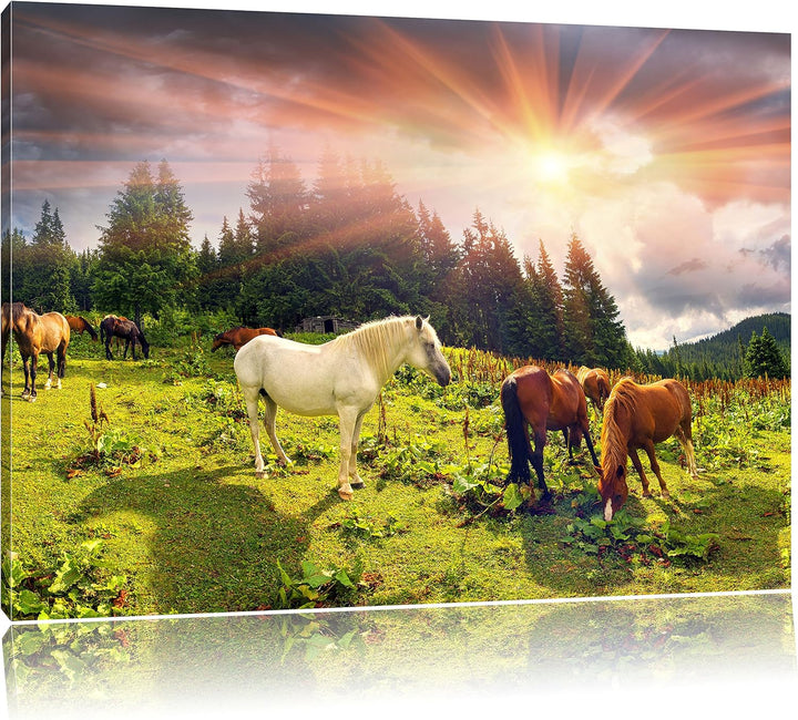 Pixxprint Mustangs Pferde auf den Bergen als Leinwandbild/Grösse: 100x70 cm/Wandbild/Kunstdruck/fert