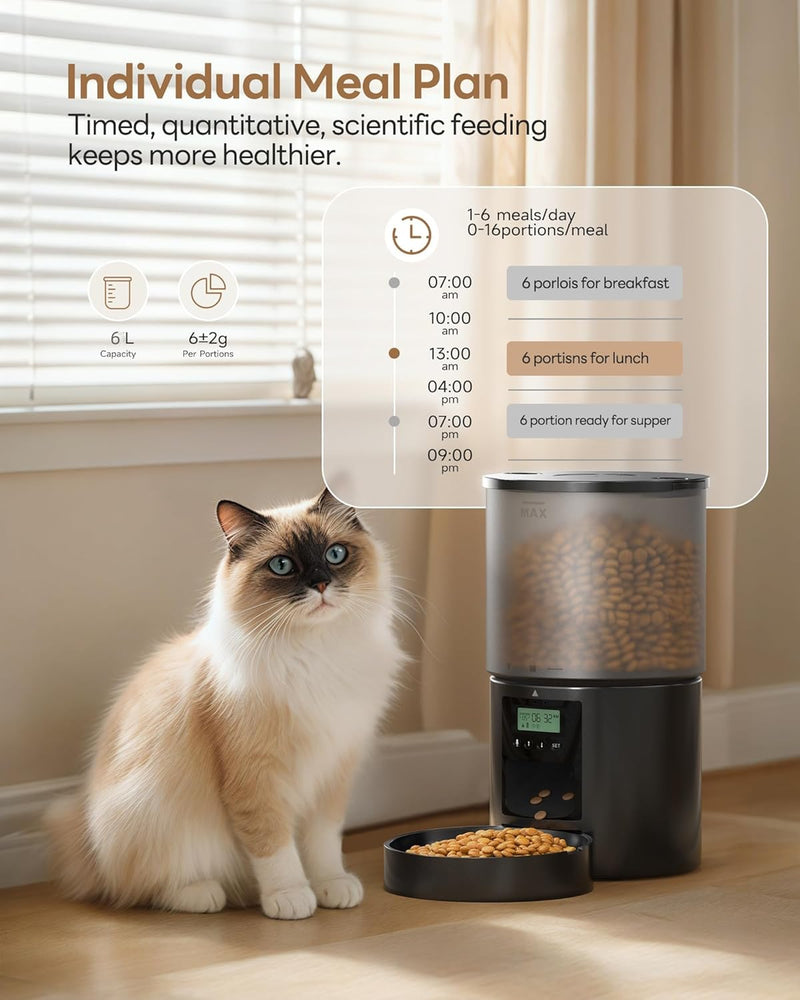 Futterautomat Katze Katzenfutter Automat mit Timer: 10s-Ruf zum Essen - Futternapf mit Automatic Fut