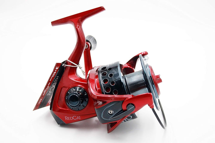 Mistrall Welsrolle REDCAT FD80 Angelrolle Spinrolle Wallerrolle Grossfischrolle