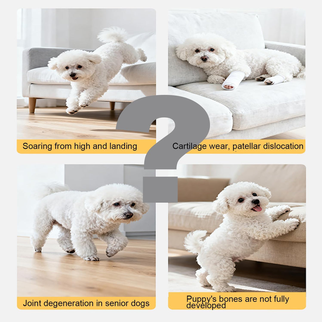 Hundetreppe Bett，Hunderampe Sofa，rutschfeste Hunderampe，Rampe Hund für Katzen und Welpen，Hundetreppe