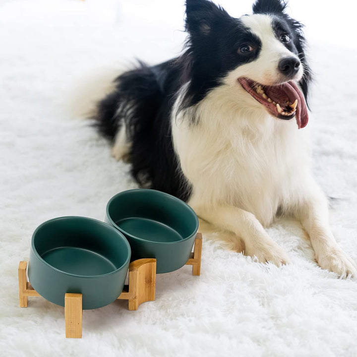 SPUNKYJUNKY Kippbarer Hundenapf Keramik Doppel Hund Futternapf mit Bambus Ständer 0° und 15° Neigung