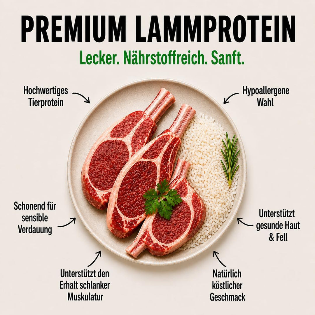Nature's Protection Superior Care Trockenfutter für Hunde mit Empfindlich Haut und Magen - Hundefutt