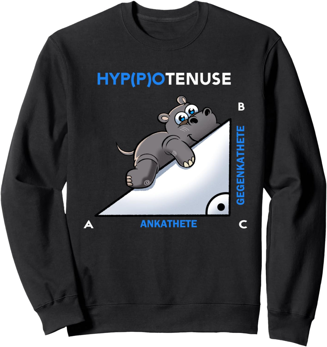 Mathematik Ankathete Gegenkathete Hyppotenuse Hippo Matura Sweatshirt