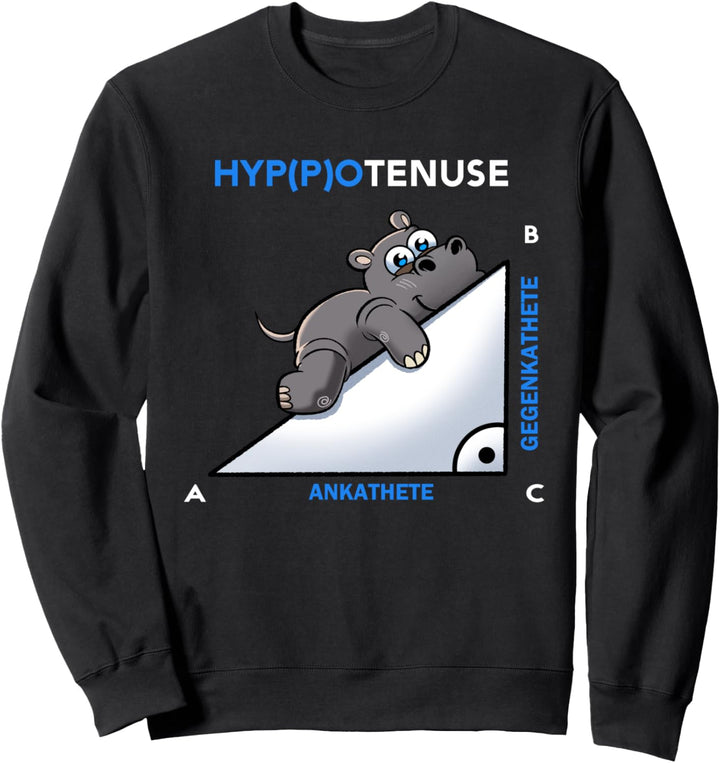 Mathematik Ankathete Gegenkathete Hyppotenuse Hippo Matura Sweatshirt