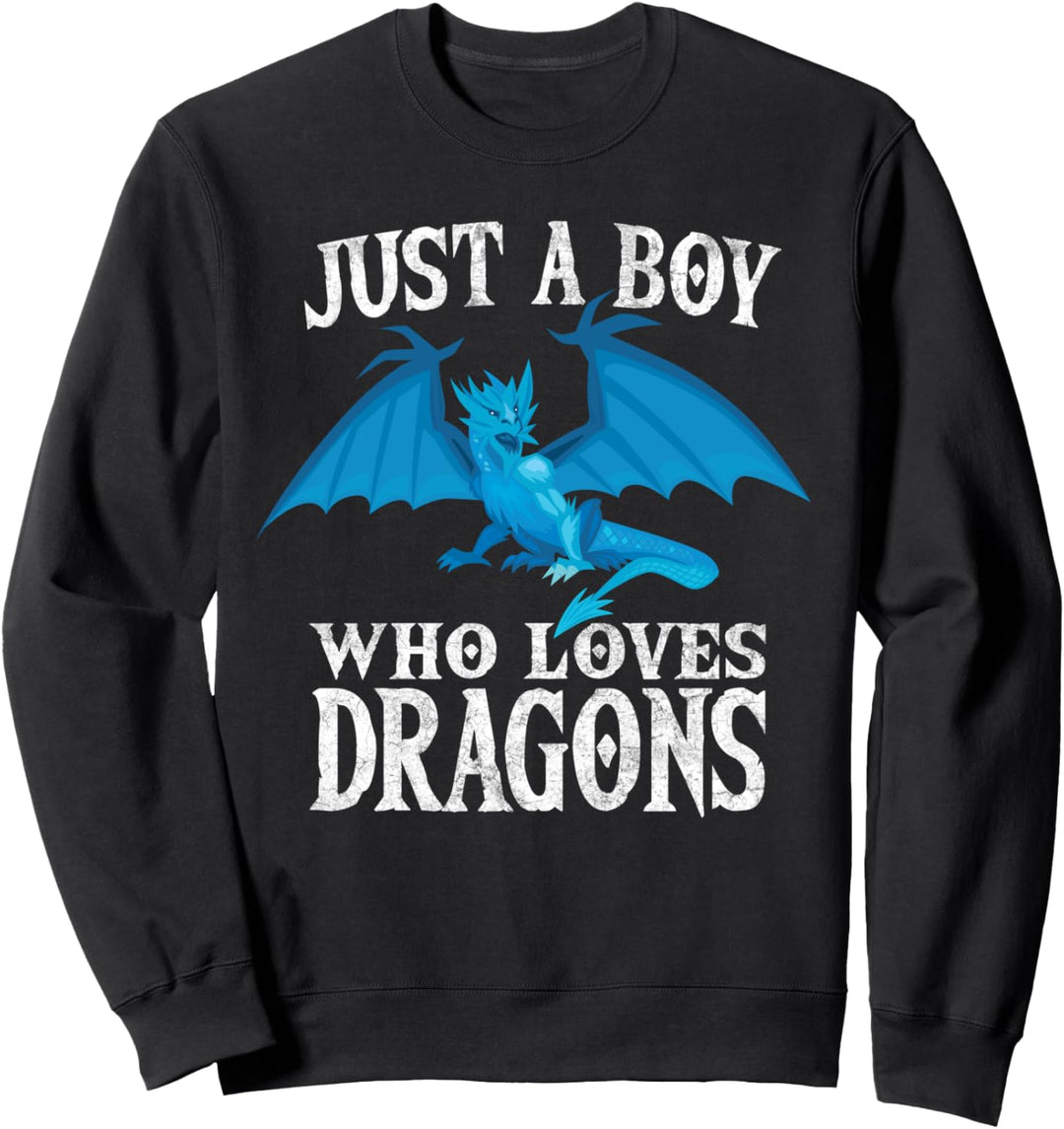 Just a Boy Who Loves Dragons Lustiges Drachen Kostüm Sweatshirt