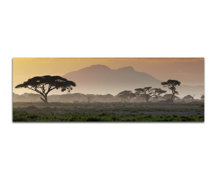 Paul Sinus Art Panoramabild auf Leinwand und Keilrahmen 150x50cm Afrika Wiesen Bäume Berge Sonnenunt