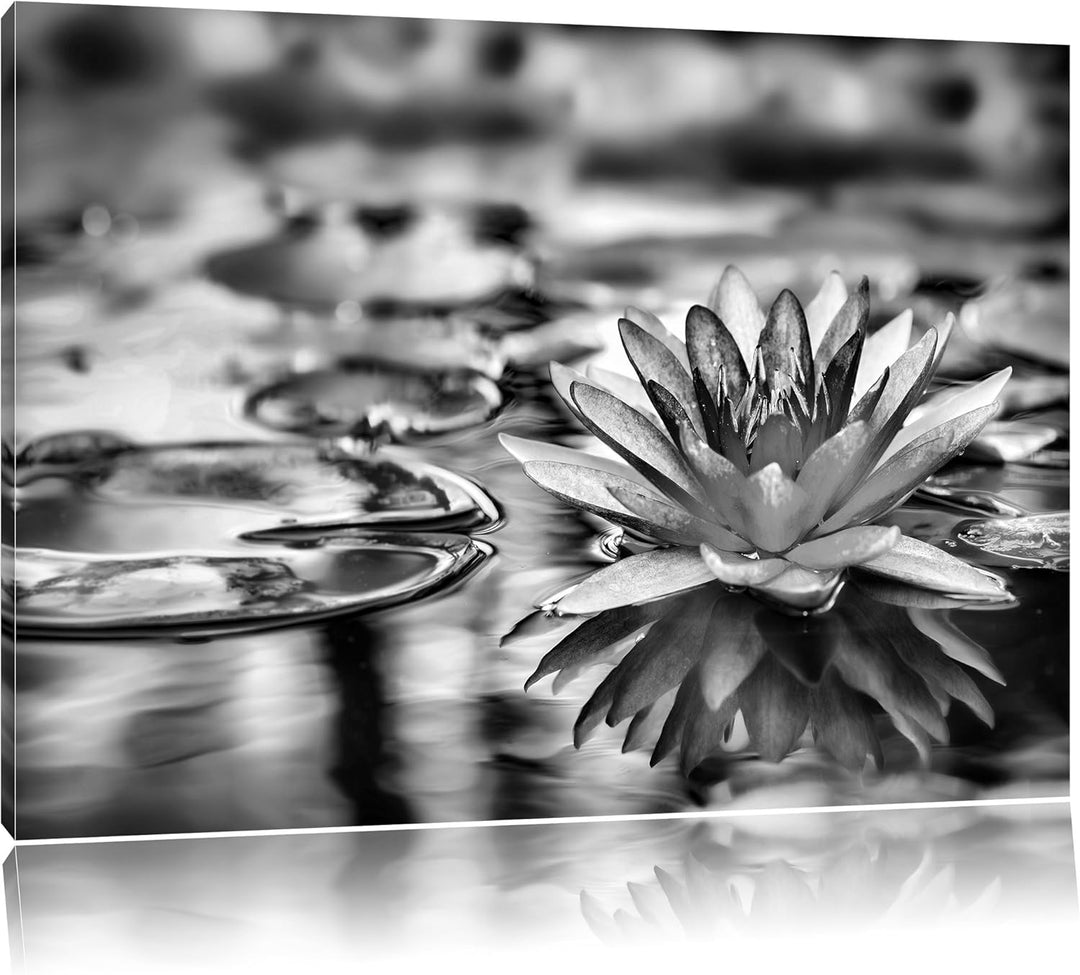Pixxprint Anmutige Seerose mit Blättern / 100x70cm Leinwandbild bespannt auf Holzrahmen/Wandbild Kun