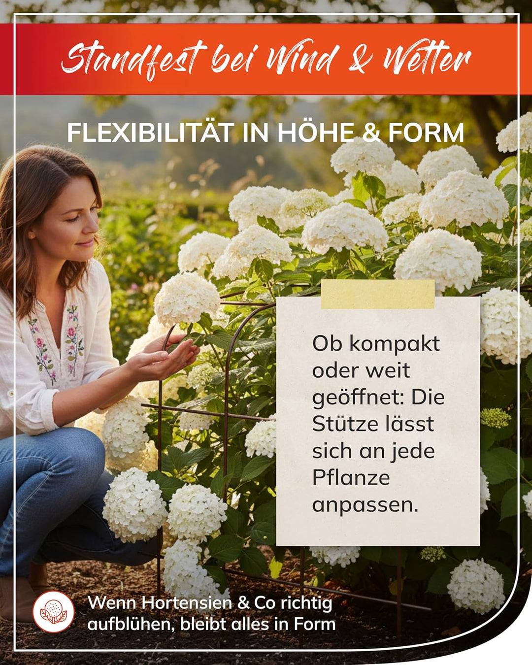 bellissa Annabelle Hortensienstütze 65 (2er Set) - Pflanzenstütze aus Stahl - 65 cm x 57 cm x 60 cm