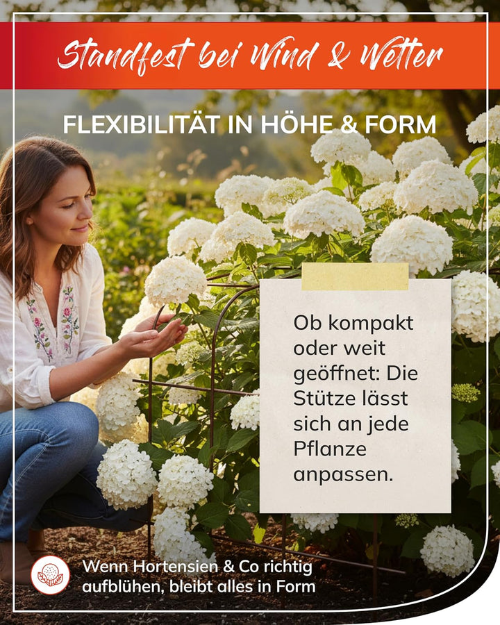 bellissa Annabelle Hortensienstütze 65 (2er Set) - Pflanzenstütze aus Stahl - 65 cm x 57 cm x 60 cm