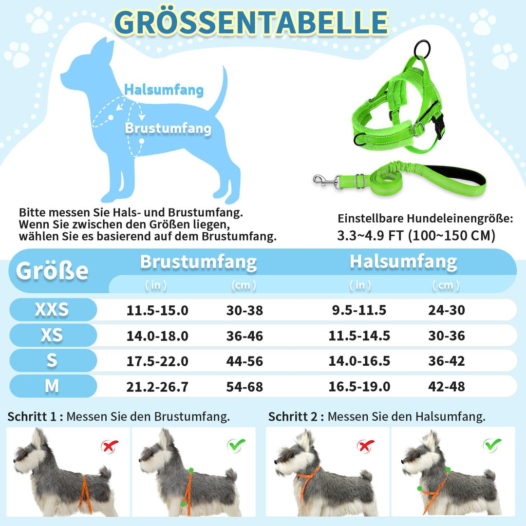Hundegeschirr mit Leine für mittelgrosse Kleine Hunde, Weich gepolsterter No-Pull Brustgeschirr mit