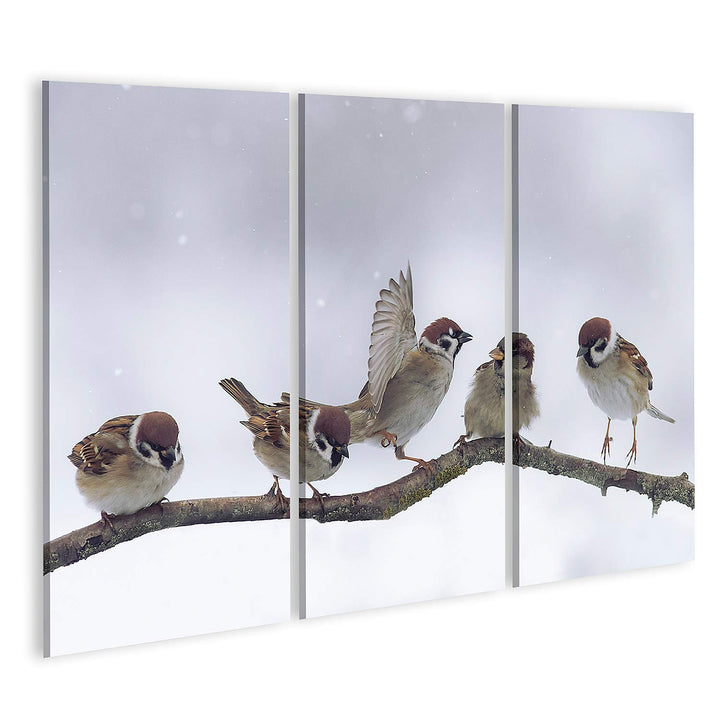 islandburner Bild auf Leinwand Spatzen Winter Verschneit Bilder Wandbilder Poster, Leinwand 130x80cm