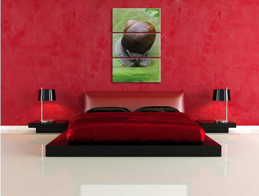Pixxprint Weinbergschnecke auf Blatt 3-Teiler Leinwandbild 120x80 Bild auf Leinwand