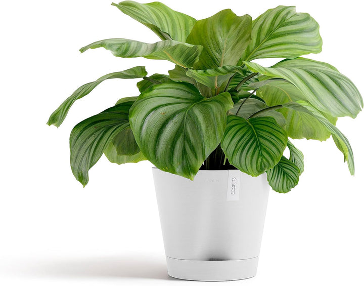Ecopots Blumentopf Venice 2 mit Bewässerung Weiss - Durchmesser Ø 30 cm rund gross - Pflanzentopf au