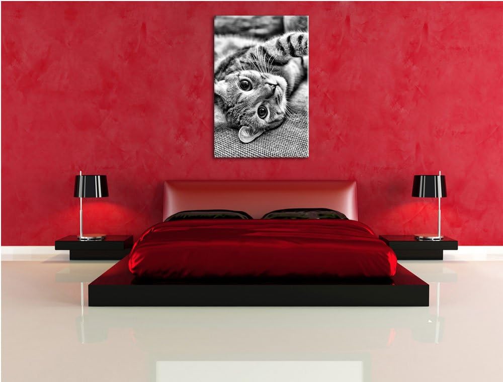 Pixxprint Monocrome, Süsses Kätzchen spielt, Format: 100x70 auf Leinwand, 100x70