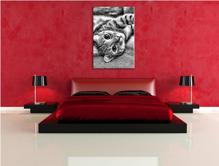 Pixxprint Monocrome, Süsses Kätzchen spielt, Format: 100x70 auf Leinwand, 100x70