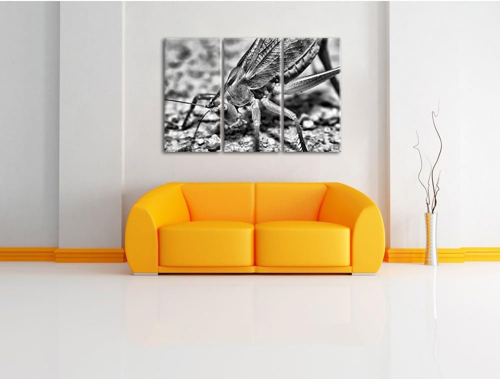 Pixxprint schöne Heuschrecke als Leinwandbild/Grösse: 3 Teilig (120x80) cm/Wandbild/Kunstdruck/ferti
