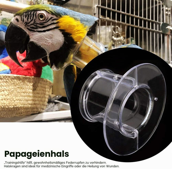 Parrot Anti-Biss Federpflücken Wundheilungs Halskrause Vogelhalskrause für Vogel(S) (L Aussendurchme