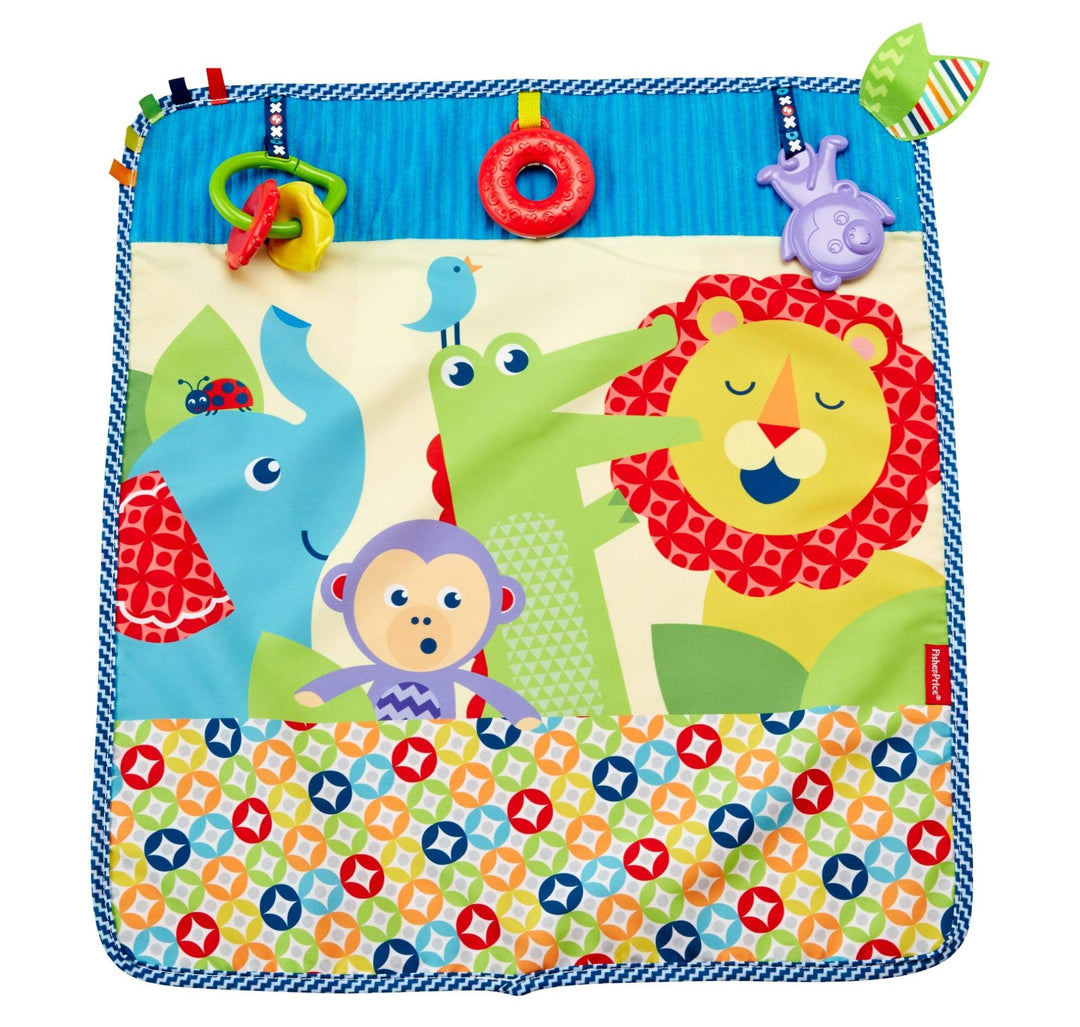 Fisher-Price DYW52 Kleine Tierfreunde-Spieldecke, Mehrfarbig