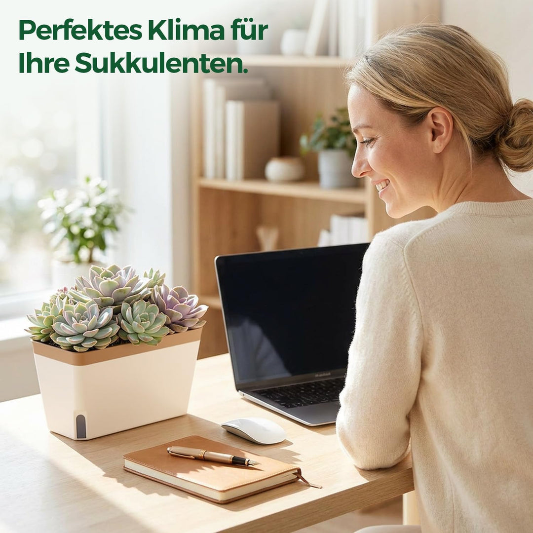 T4U 27cm Selbstwässernder Blumenkasten Kräutertopf mit ERD-Bewässerungs-System Braun 3er-Set Kunstst