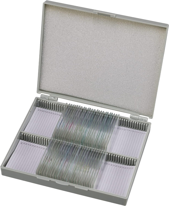 Bresser Mikroskop Dauerpräparate 30 Stück in Kunststoffbox, Lernpräparate aus der Biologie Single, S