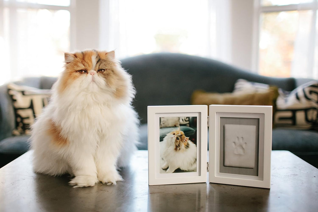Pearhead Pet Pawprints Desk Picture Frame and Imprint Kit, No Mess Pet Paw Print Frame, Keepsake Mem