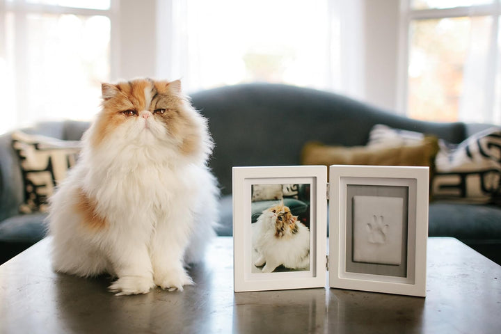 Pearhead Pet Pawprints Desk Picture Frame and Imprint Kit, No Mess Pet Paw Print Frame, Keepsake Mem