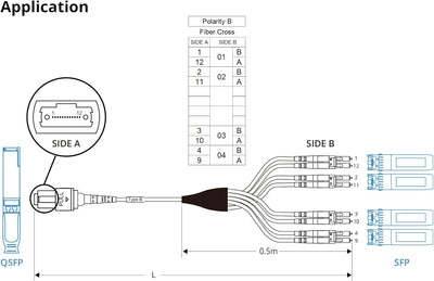 10Gtek Fiber Optic Cable Patch Cord - MPO to 8X LC Fanout Fiber Jumper Cable, OM3 MMF 8-core Fiber,