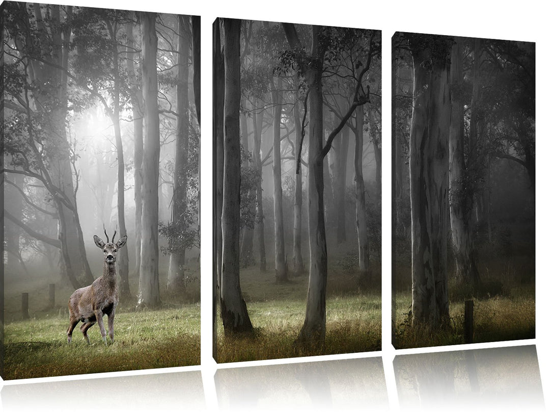 Pixxprint Einsamer Hirsch im tiefen Wald B&W Detail 3-Teiler Leinwandbild 120x80 Bild auf Leinwand