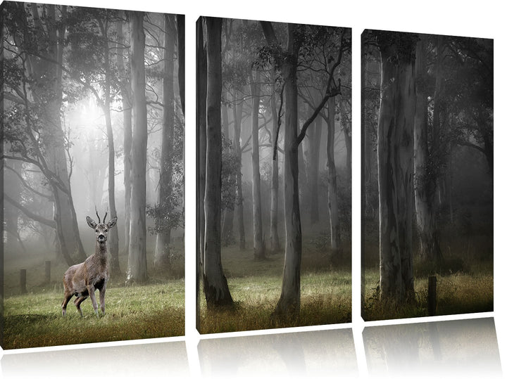 Pixxprint Einsamer Hirsch im tiefen Wald B&W Detail 3-Teiler Leinwandbild 120x80 Bild auf Leinwand
