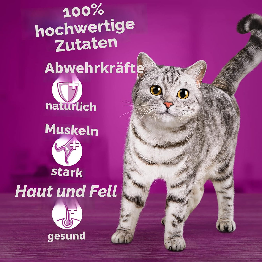 Whiskas Nassfutter für Erwachsene Katzen Auswahl Vögel in Gelatine Multipack (4 x 12 Beutel x 85 g)