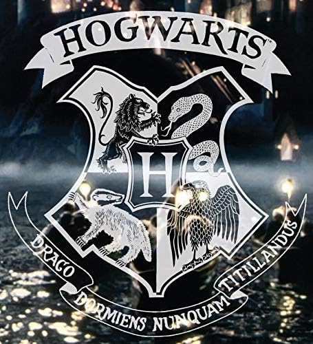 Harry Potter Wendebettwäsche Hogwarts, Glow in The Dark, 2-teilig, 135 x 200 cm, 80 x 80 cm, 100% Ba
