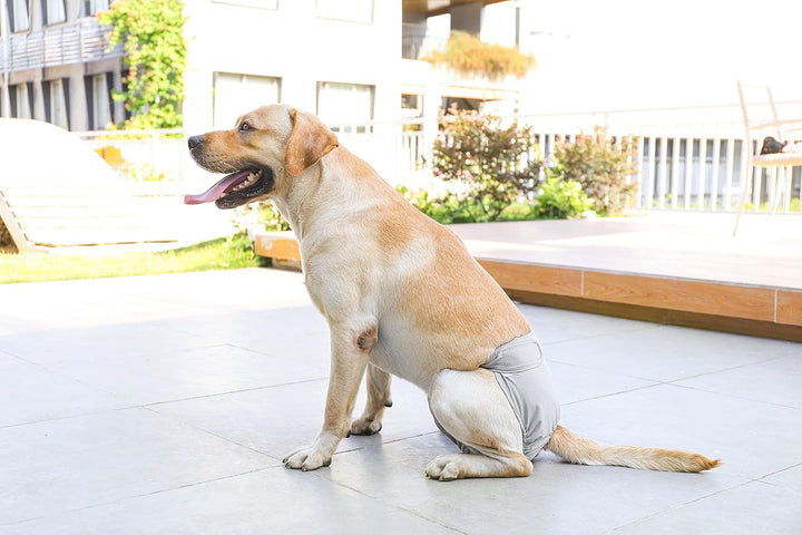 Waschbare Windeln für Hunde, Wiederverwendbare Hundewindeln, Umweltfreundliche Damenbinden Höschen,