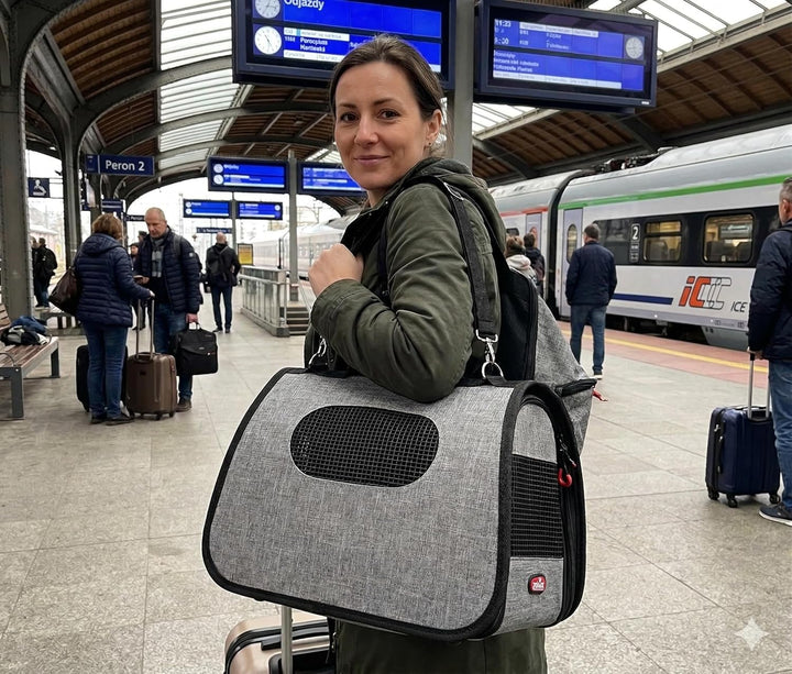 ZOLUX Transporttasche für Hunde und Katzen Nomad M grau mit optimaler Belüftung