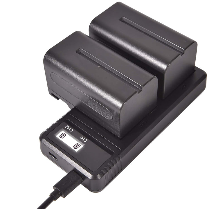 (2 Pack) NP-F750 DSTE Ersatz Batterie + Schnellladung Dual LCD Ladegerät Kompatibel mit Sony NP-F730